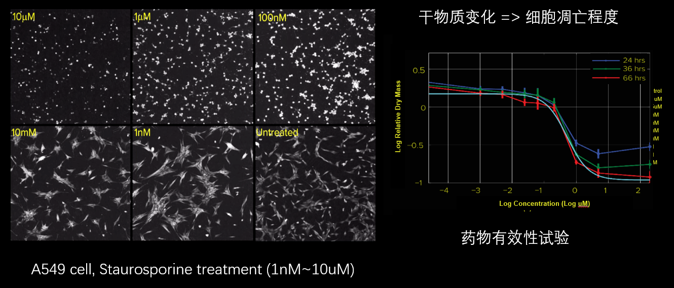 5、細(xì)胞毒性分析.png