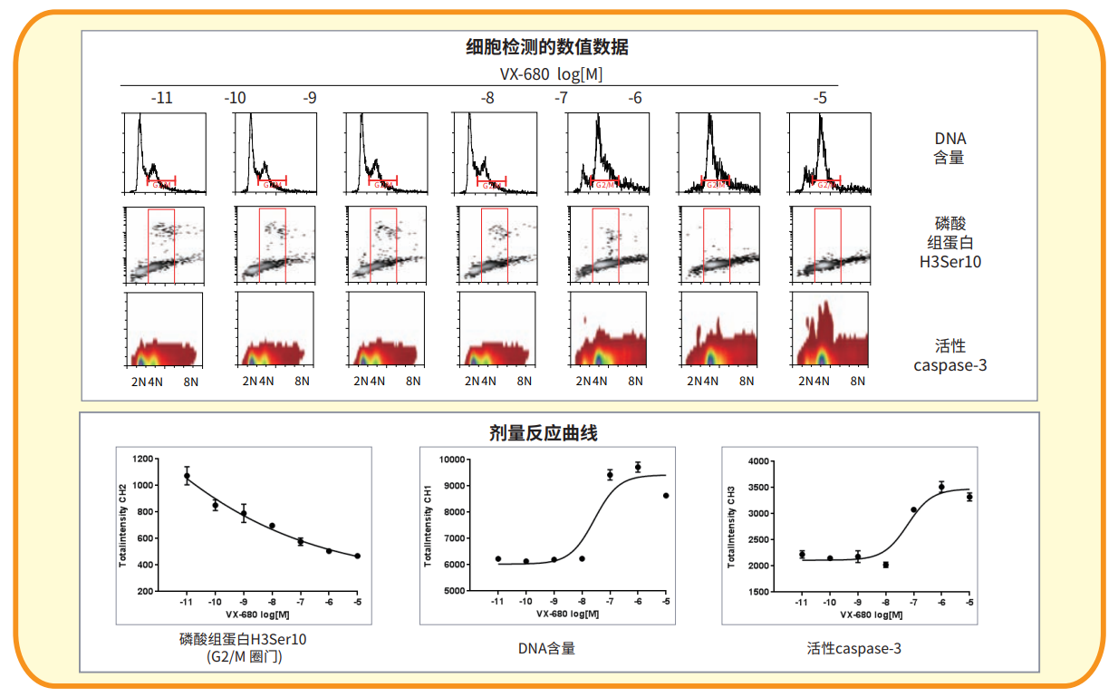應用8 細胞周期分析.png