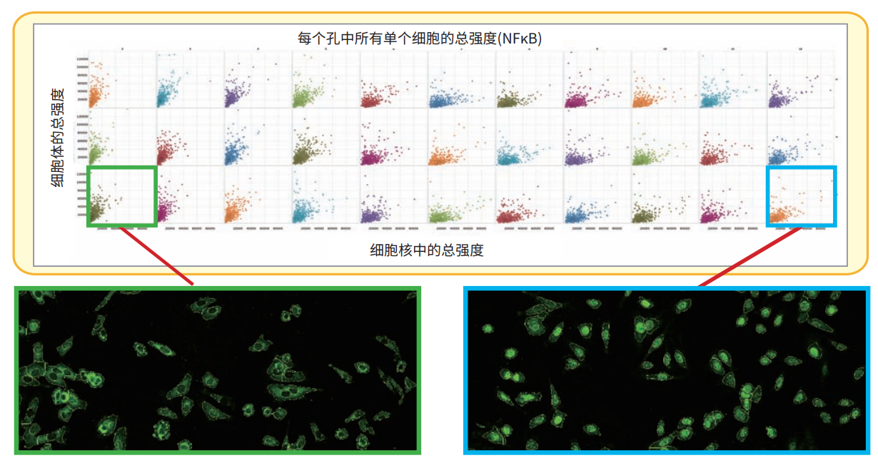 應用4 核轉(zhuǎn)移.png